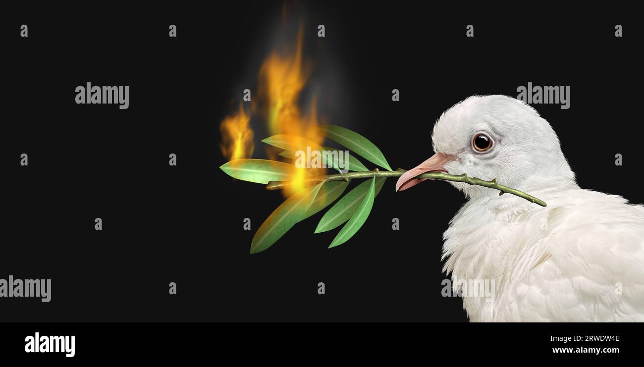 Concetto di crisi di pace con una colomba bianca e un ramo di ulivo in fiamme come simbolo delle sfide della guerra e della rivoluzione e della ricerca sfuggente Foto Stock