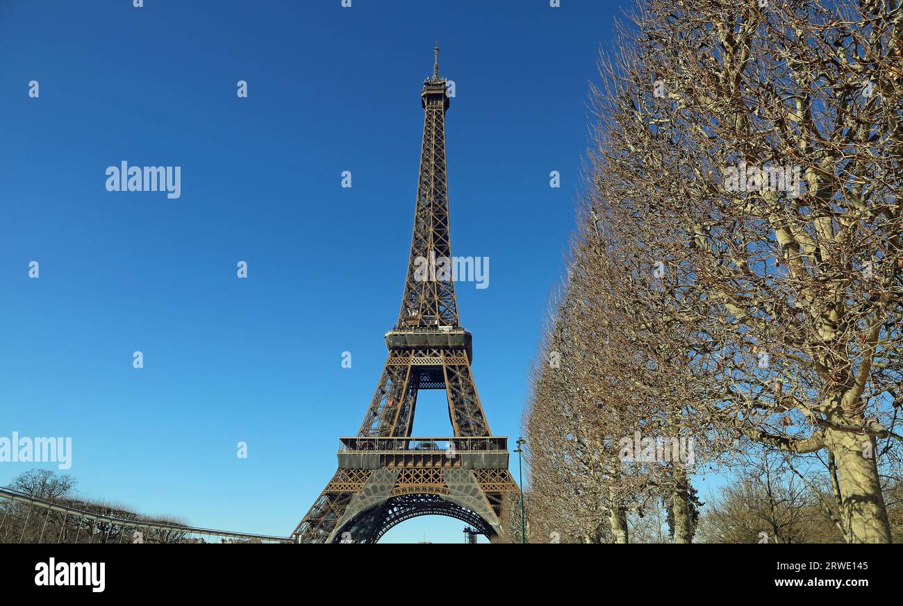 La torre e la fila di alberi - Torre Eiffel - Parigi, Francia Foto Stock La torre e la fila di alberi - Torre Eiffel - Parigi, Francia Foto Stock
