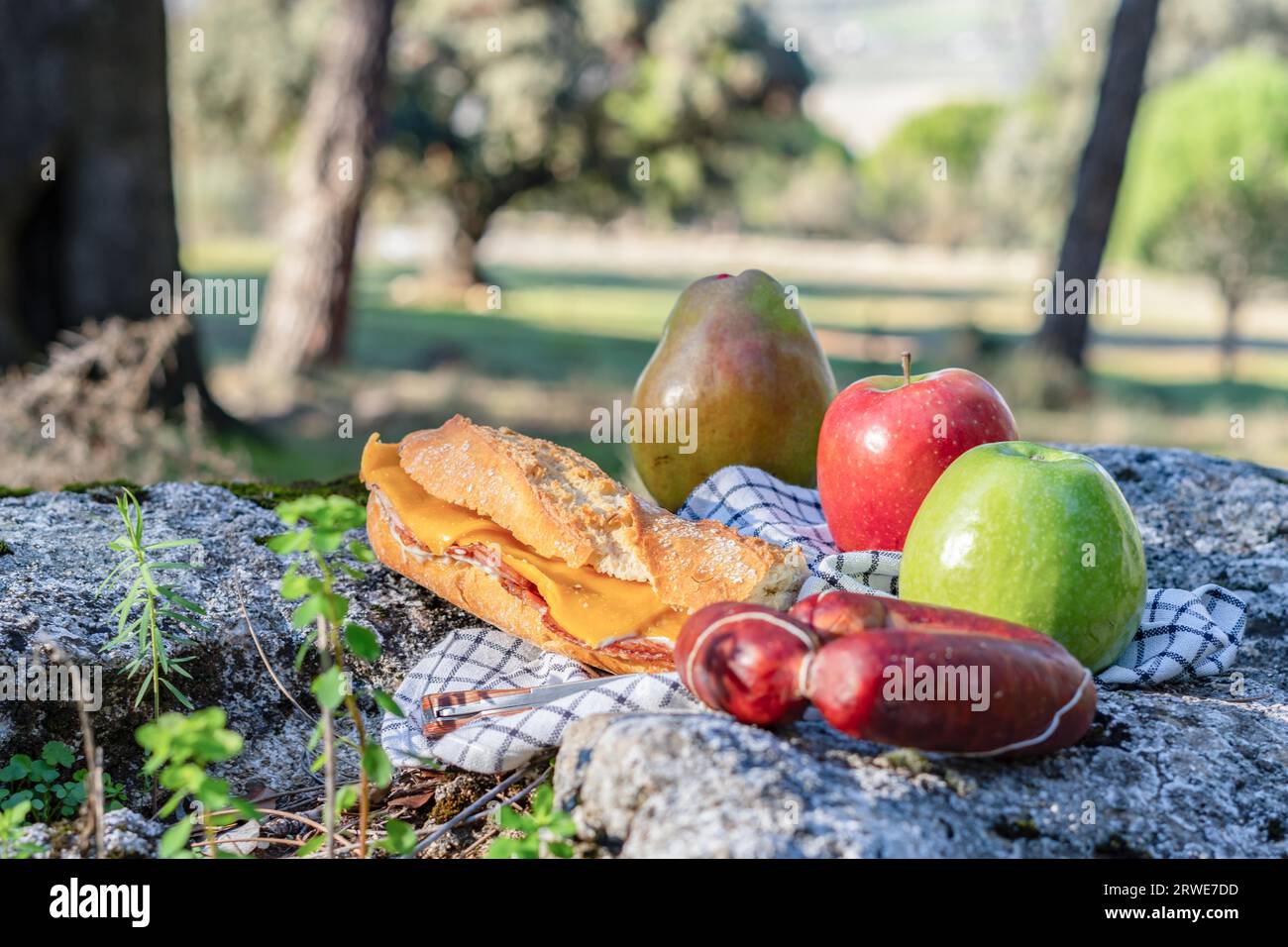 Picnic in campagna pancetta e formaggio sandwich con salsiccia e frutta su una grande roccia con la foresta sullo sfondo Foto Stock