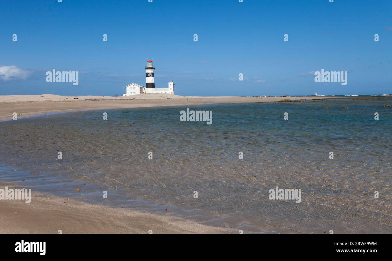 Cape recife, Sudafrica Foto Stock