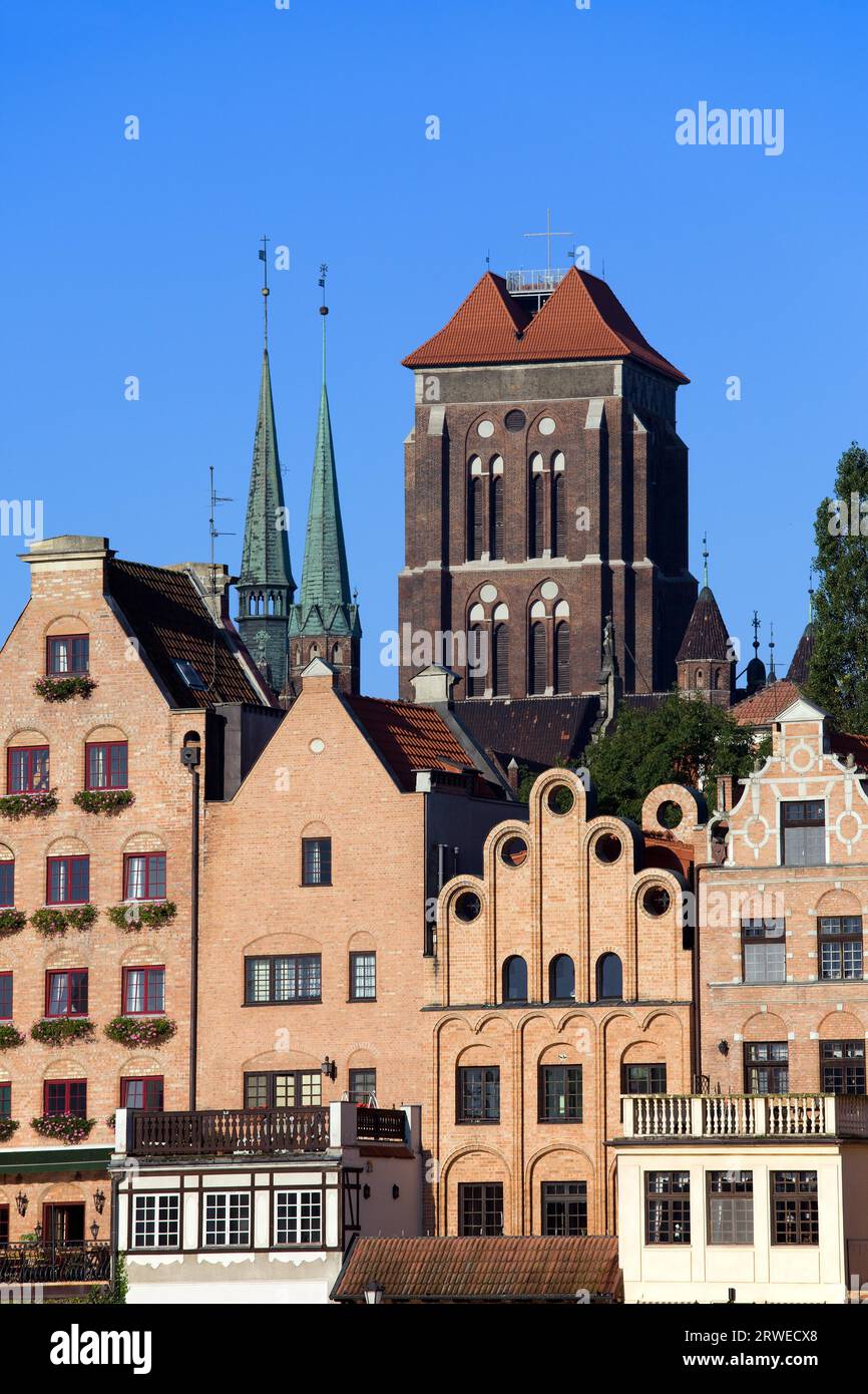 Città Vecchia case con la Chiesa della Beata Vergine Maria (Polacco: Bazylika Mariacka) in background in Gdansk (Danzica), Polonia Foto Stock