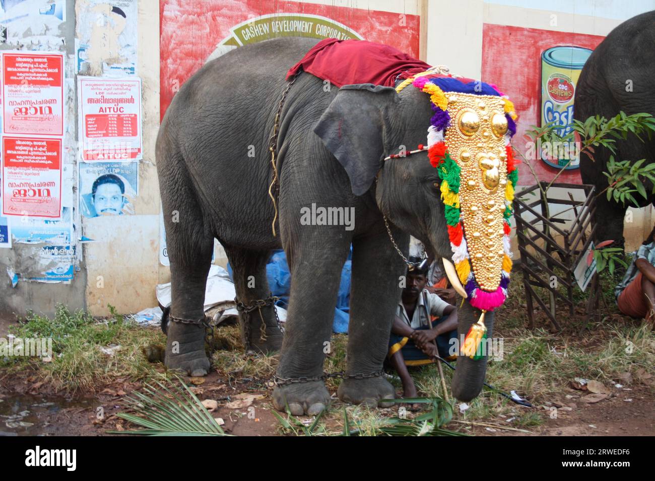 Varkala, India, 4 febbraio 2011: Elefanti decorati e persone in una tradizionale parata di elefanti Foto Stock