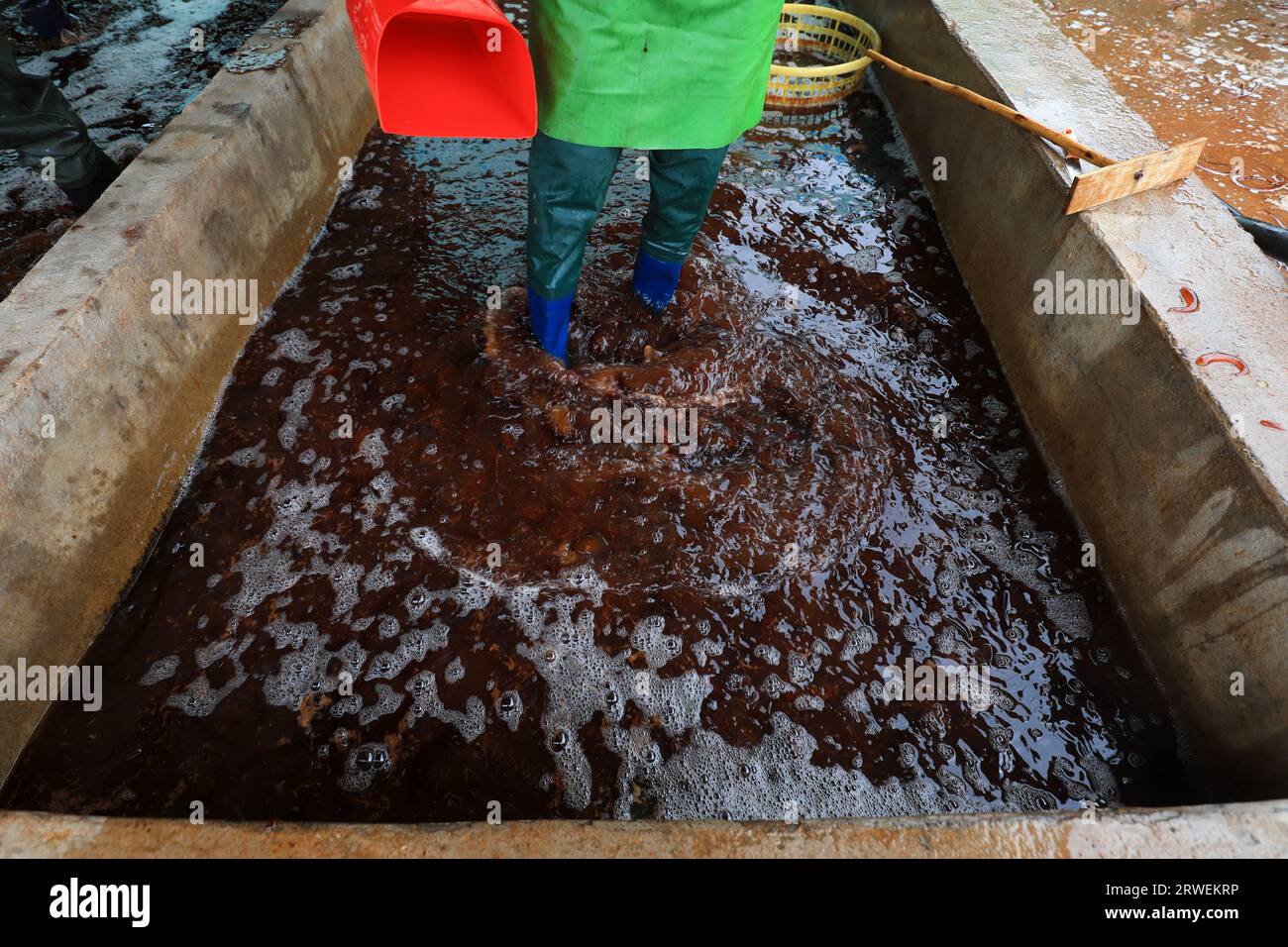 I lavoratori usano i piedi per mescolare l'acqua nel serbatoio della salamoia per sciogliere completamente il sale Foto Stock