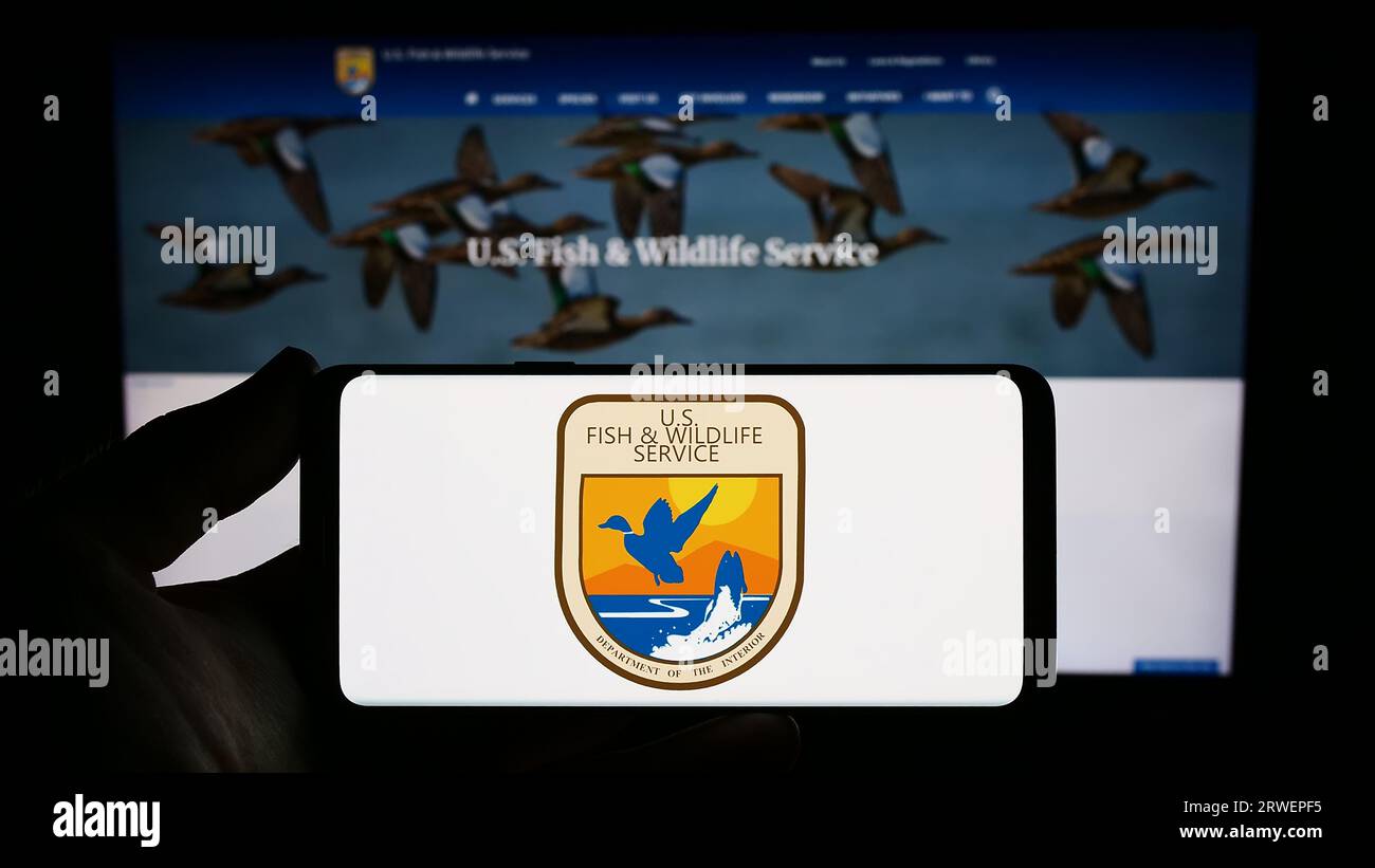 Persona che tiene in mano lo smartphone con il sigillo di United States Fish and Wildlife Service (FWS) sullo schermo di fronte al sito Web. Concentrarsi sul display del telefono. Foto Stock