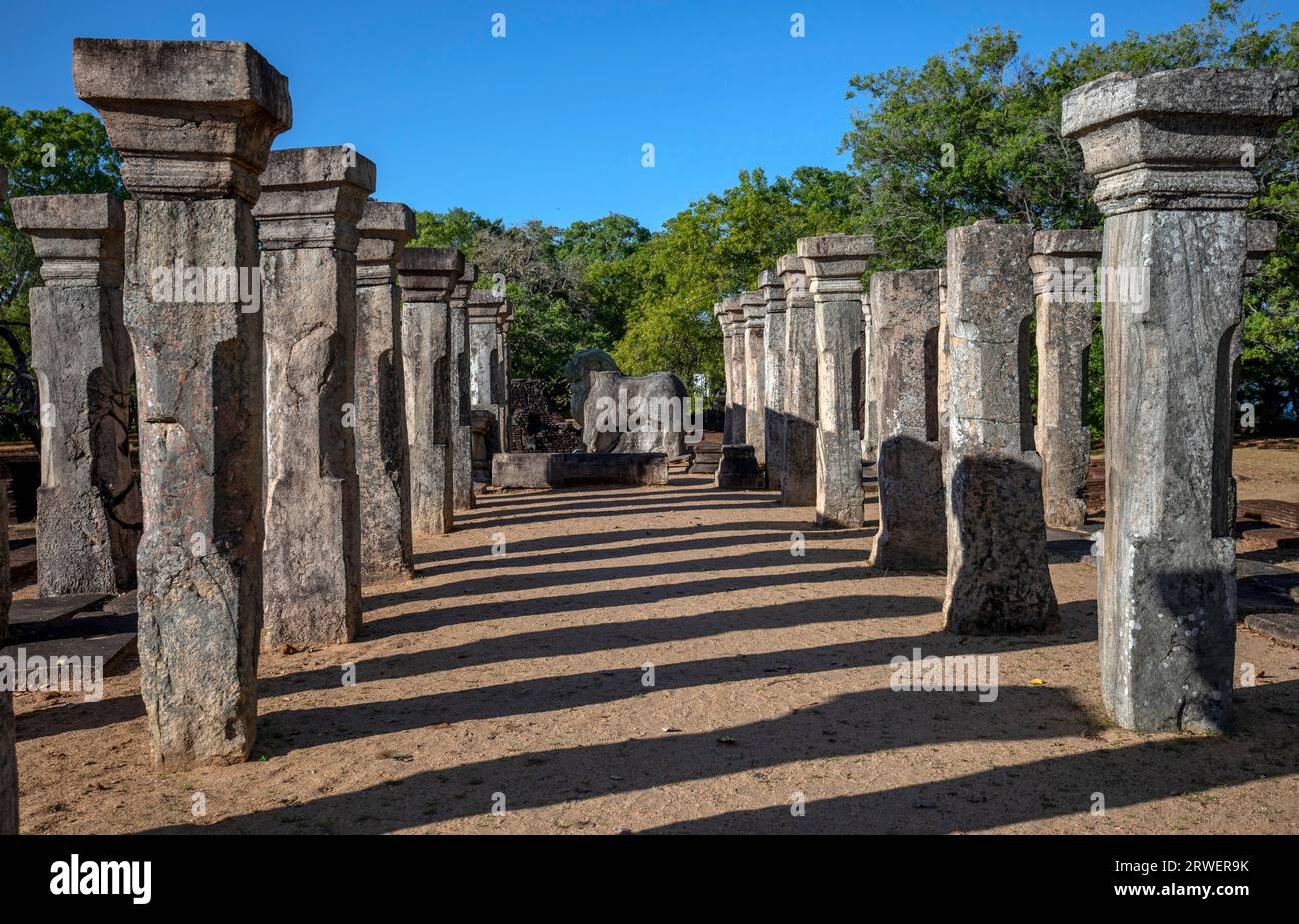 File di colonne di pietra all'interno della camera del Consiglio di Nissankamalla guardando verso il trono di leone scolpito in pietra a Polonnaruwa nello Sri Lanka. Foto Stock