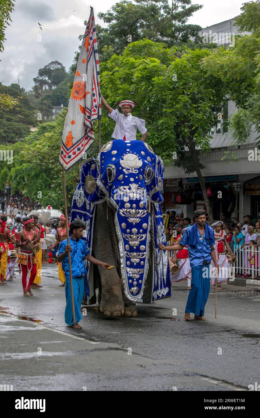 Un custode del Tempio che cavalca un elefante cerimoniale sfilerà lungo una strada durante il giorno Perahera. A Kandy in Sri Lanka. Foto Stock