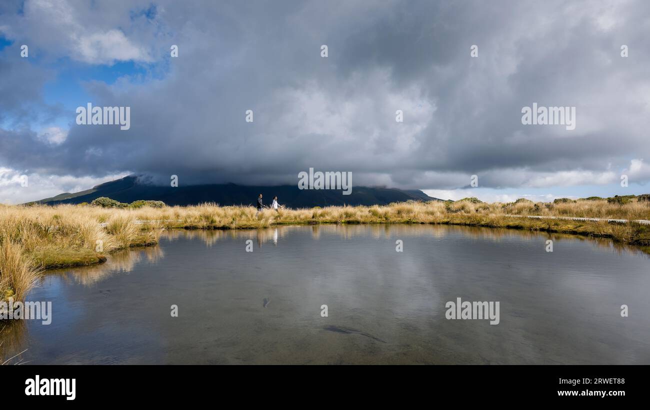 Escursione per due persone sul circuito di Pouakai. MT Taranaki tra le nuvole spesse. Taranaki. Nuova Zelanda. Foto Stock