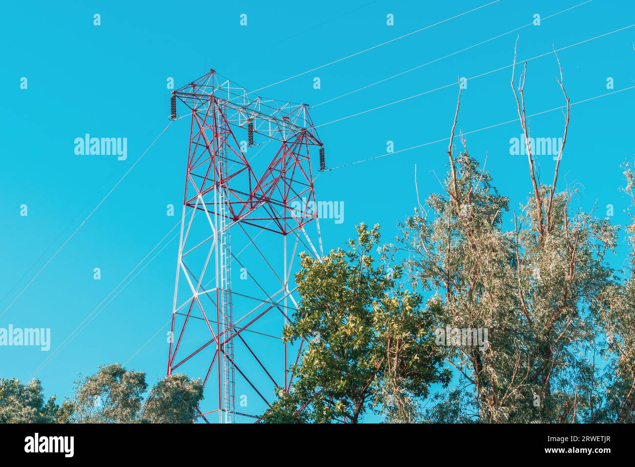 Torre di trasmissione con fili elettrici, vista angolare bassa Foto Stock
