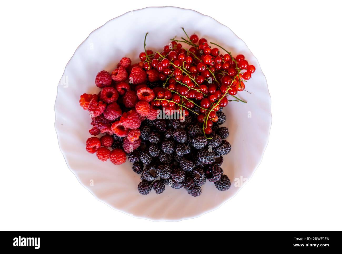 Lamponi, mora, ribes rosso su un piatto Foto Stock