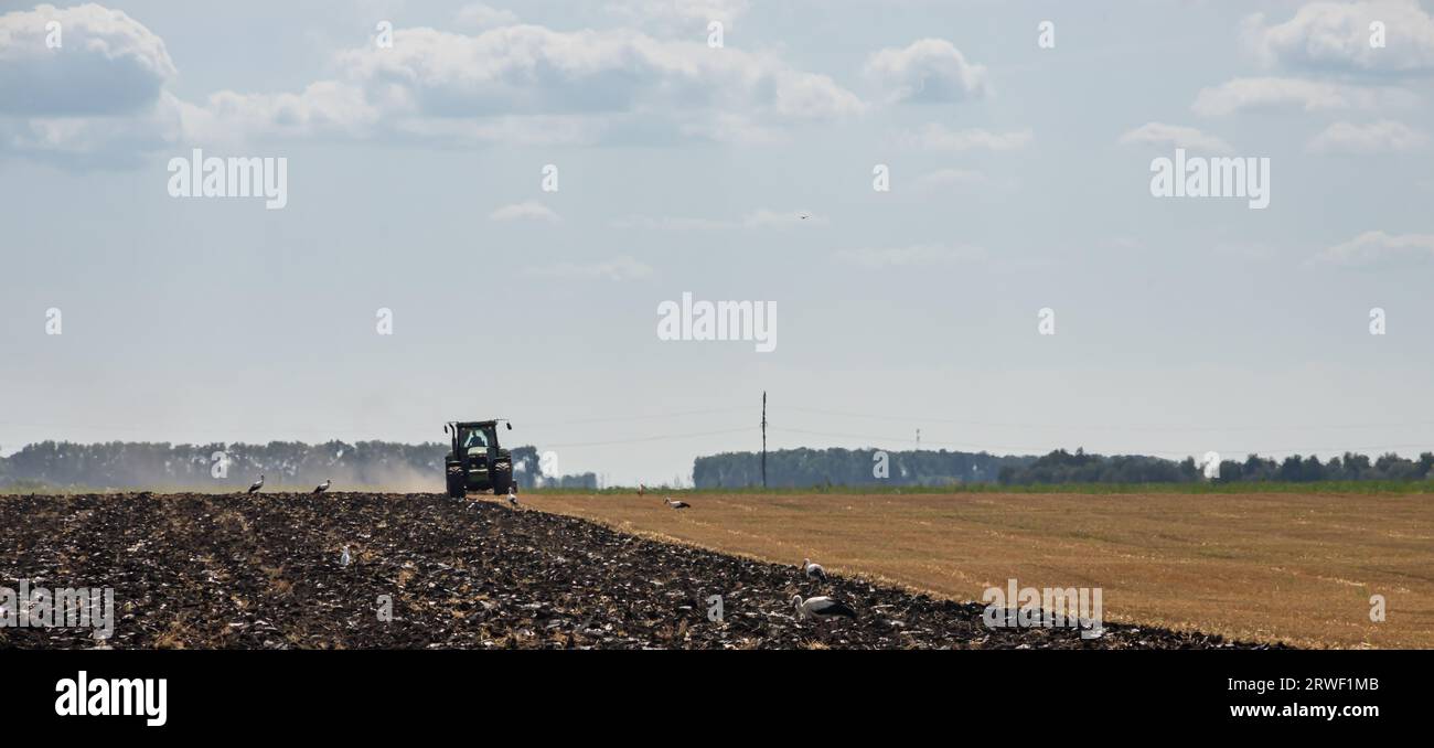 Trattore agricolo che arava un campo prima della semina. Foto Stock