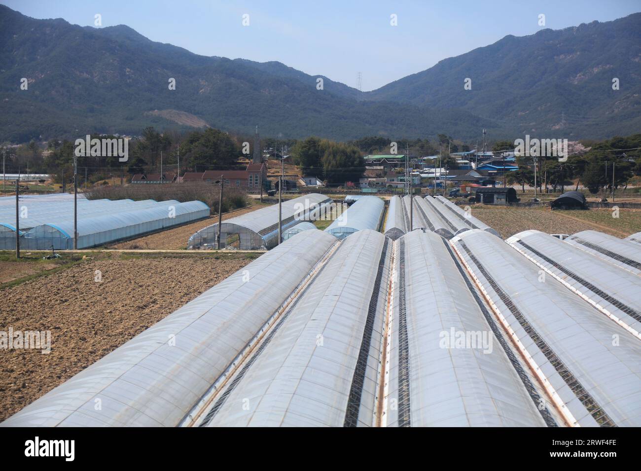 Agricoltura a effetto serra in Corea del Sud. Agricoltura a Imsil-gun, nella provincia di North Jeolla. Foto Stock