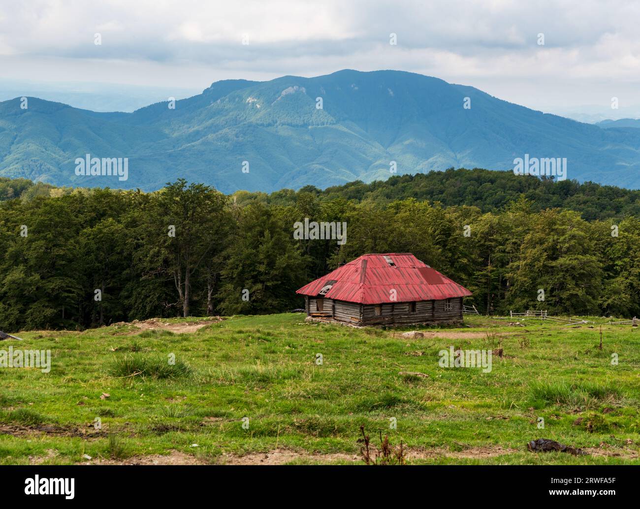Isola lo chalet di pecore helder su prato con foresta intorno e colline più alte sullo sfondo nelle montagne dei Carpazi in Romania - splendido scenario Foto Stock