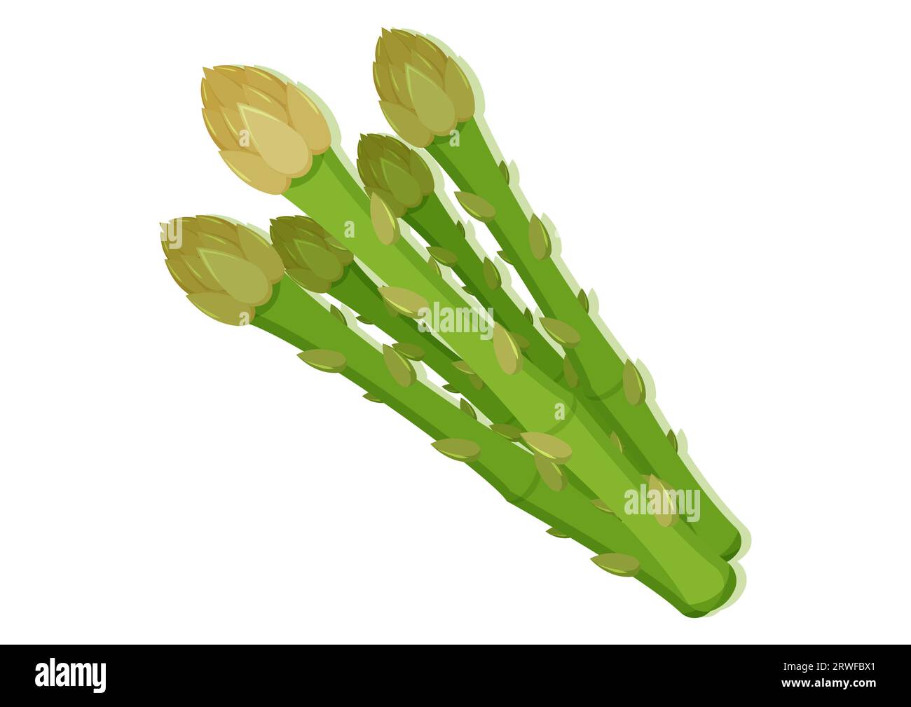 Illustrazione vettoriale di asparagi vegetali freschi. Cibo delizioso e salutare Illustrazione Vettoriale