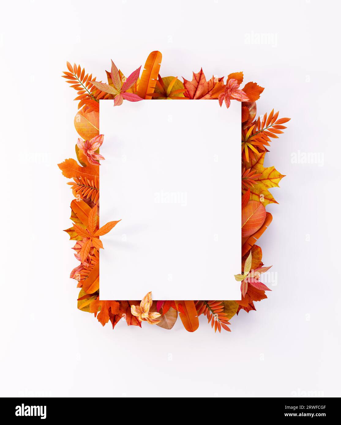 Composizione autunnale di foglie colorate con carta bianca. Layout piatto, vista superiore, spazio di copia rappresentazione 3d illustrazione 3D. Foto Stock