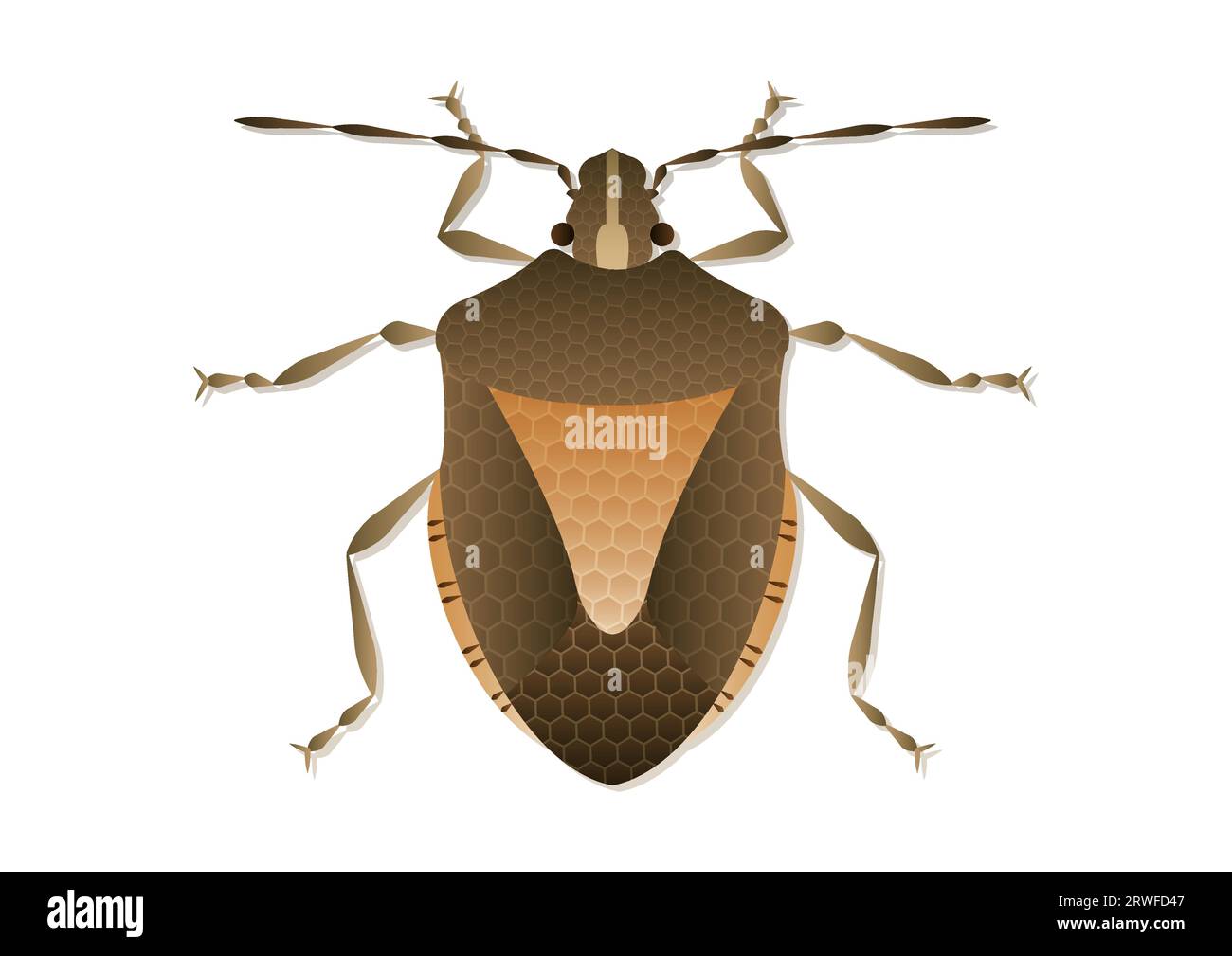 Stink Bug Vector Art isolato su sfondo bianco Illustrazione Vettoriale