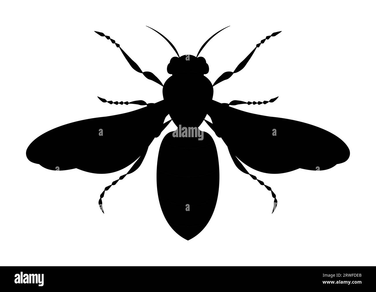 Black and White Honeybee Vector Clipart Illustrazione Vettoriale