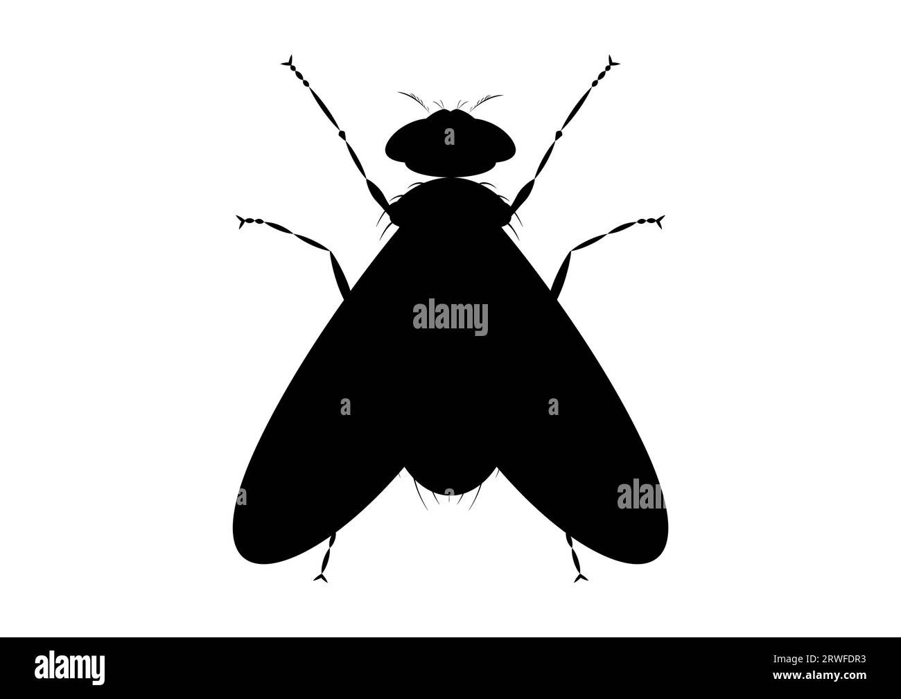 Silhouette Green Fly in bianco e nero in stile piatto Illustrazione Vettoriale