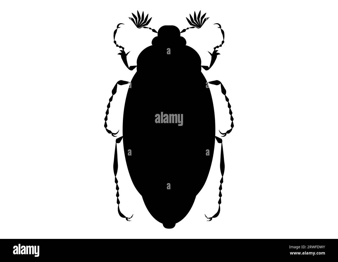 May Beetle Clipart Vector in bianco e nero isolato su sfondo bianco Illustrazione Vettoriale