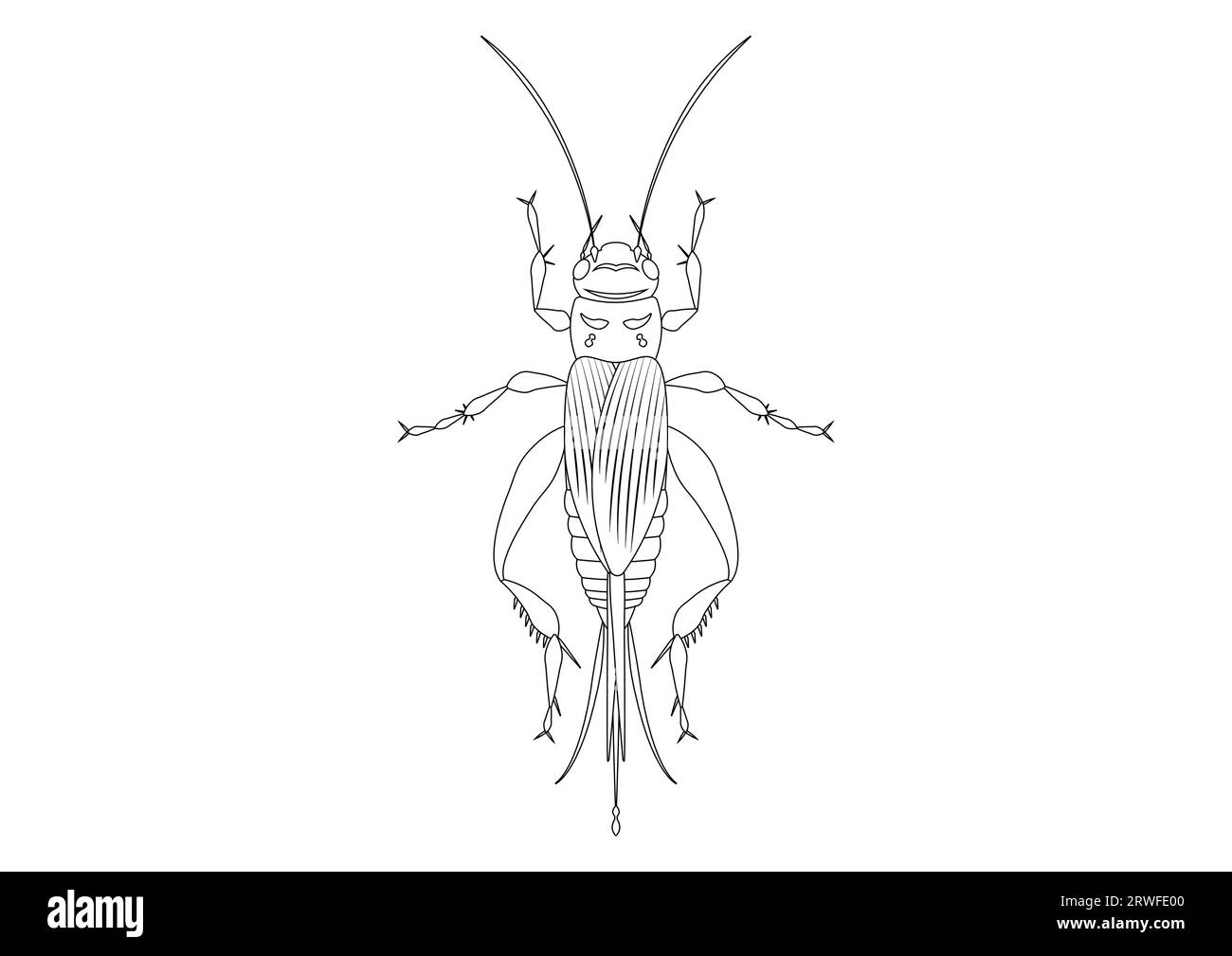 Black and White House Cricket Clipart. Coloring Page of House Cricket Illustrazione Vettoriale