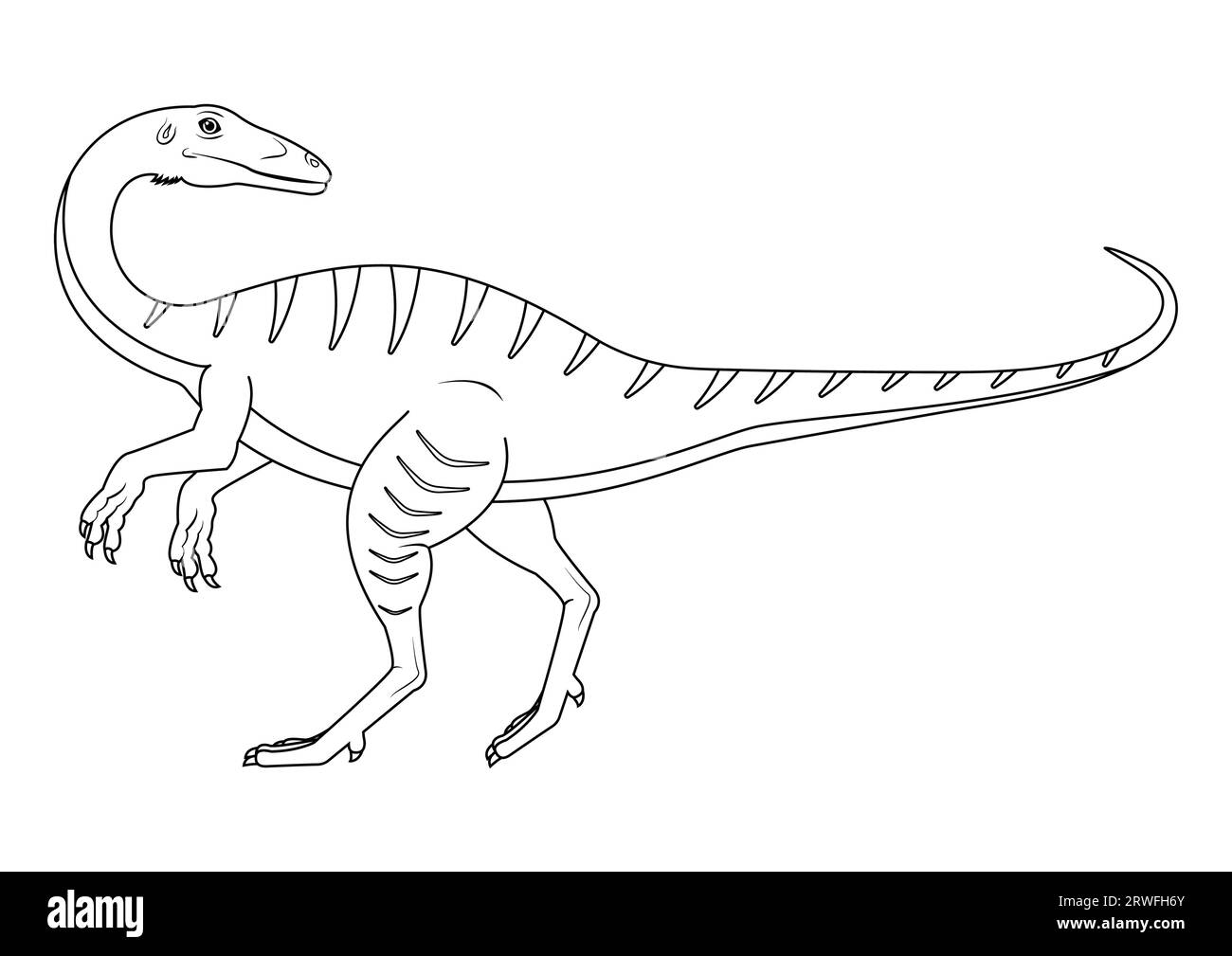 Black and White Coelophysis Dinosaur Cartoon Character Vector. Colorazione pagina di un dinosauro coelofisi Illustrazione Vettoriale