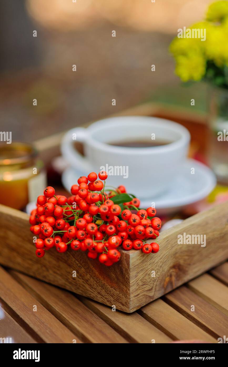 Rowan su un vassoio di bevande calde con decorazioni autunnali. messa a fuoco selettiva Foto Stock
