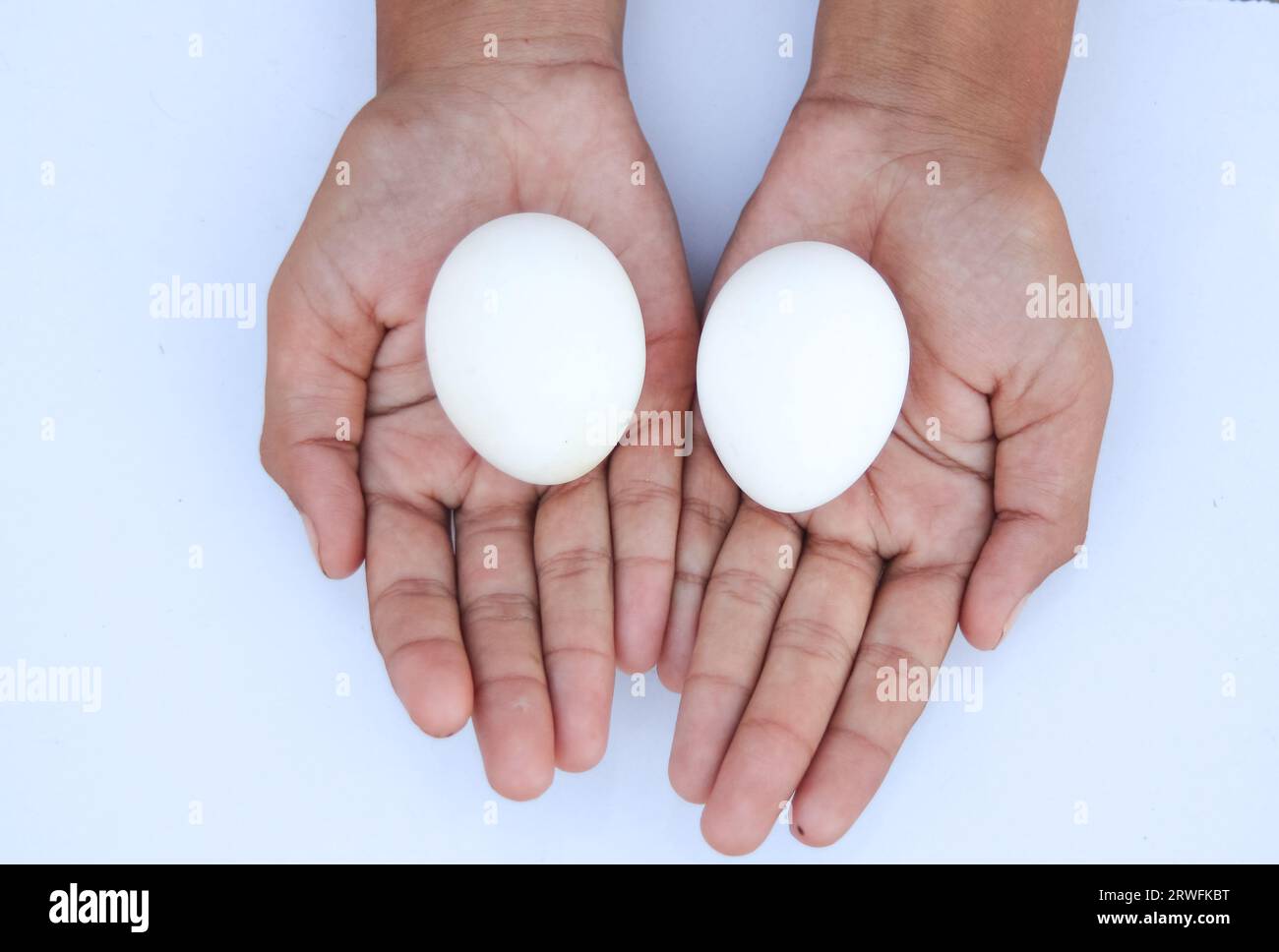 Uova di gallina isolate sulla mano della ragazza su sfondo bianco. Uova bianche isolate a mano su sfondo bianco. Uova pronte per la schiusa. Proteinoso Foto Stock