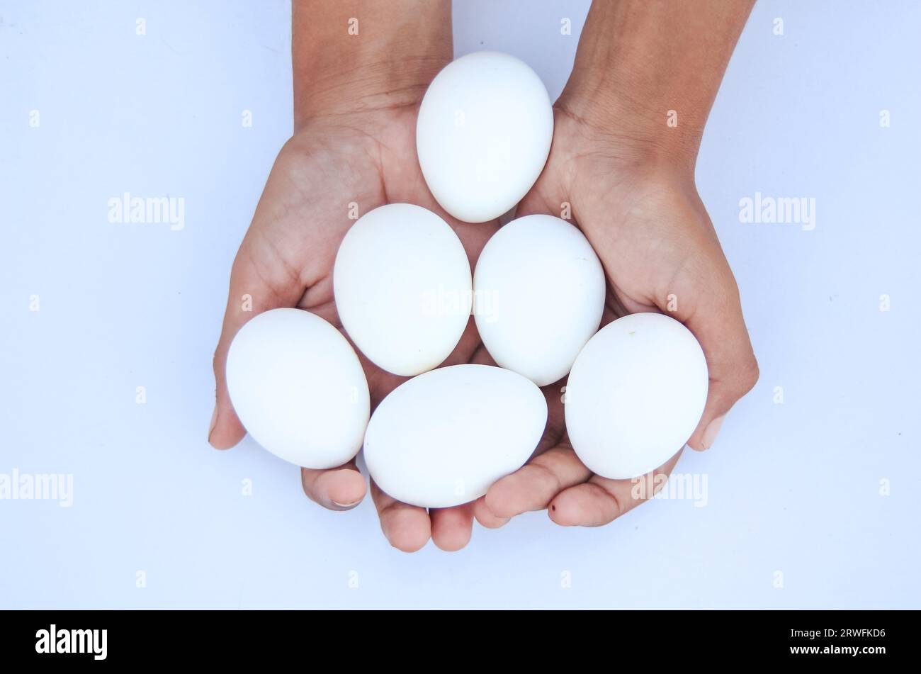 Uova di gallina isolate sulla mano della ragazza su sfondo bianco. Uova bianche isolate a mano su sfondo bianco. Uova pronte per la schiusa. Proteinoso Foto Stock