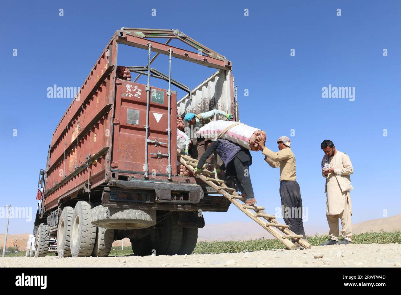 Bamyan, Afghanistan. 18 settembre 2023. Gli agricoltori portano sacchi di patate su un camion nella provincia di Bamyan, Afghanistan, 18 settembre 2023. La provincia di Bamyan è un'importante base di produzione di patate in Afghanistan. Credito: Ziaodin Azad/Xinhua/Alamy Live News Foto Stock