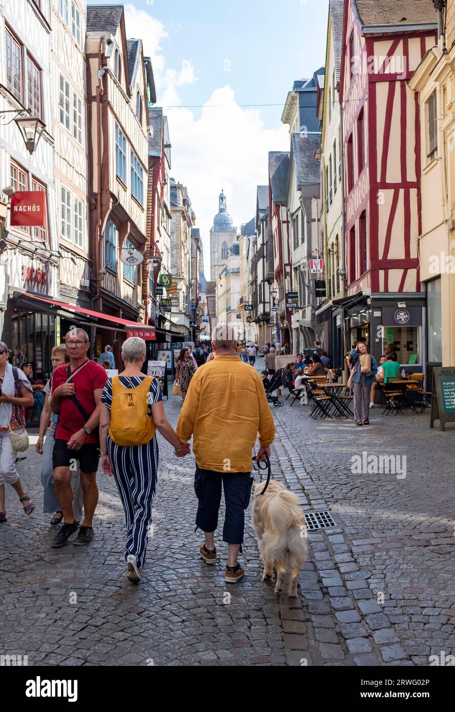 Rouen Normandia Francia - a piedi con i cani nelle strade medievali Rouen è la capitale della regione nord-francese della Normandia, è una città portuale sul Foto Stock