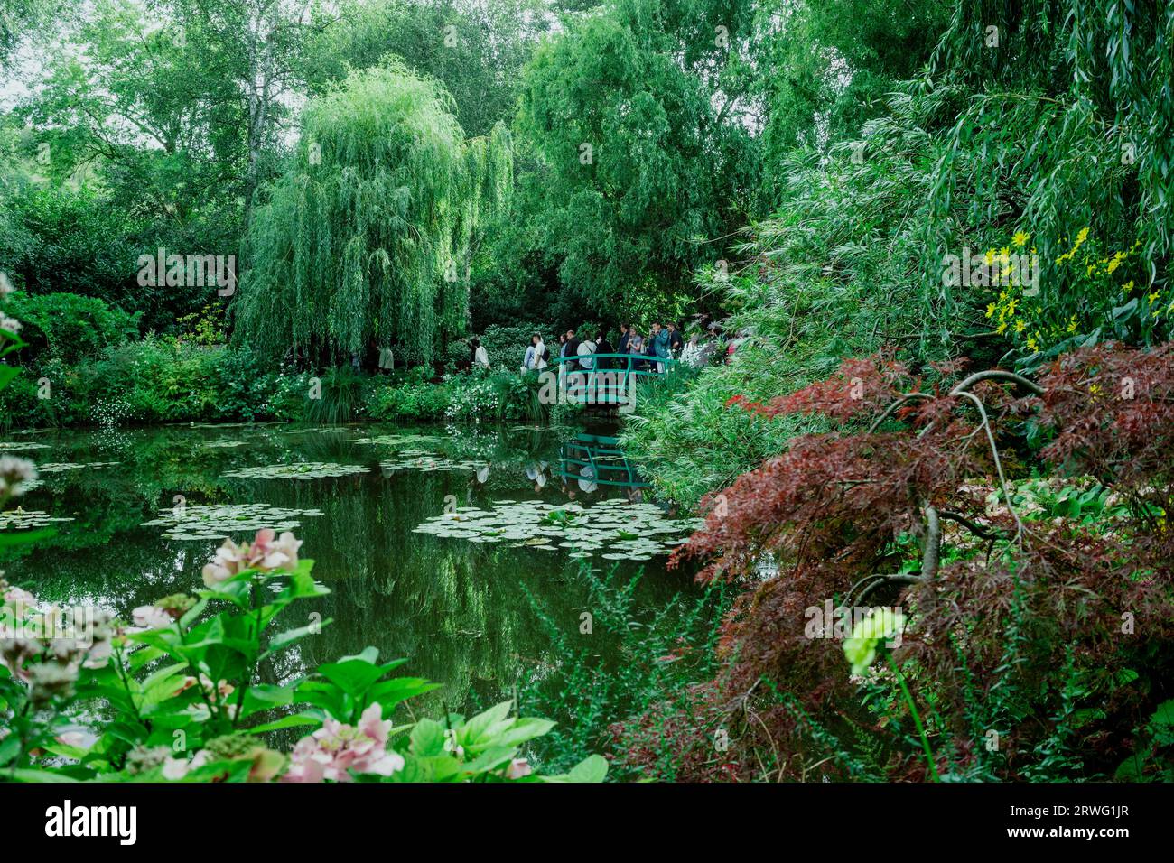 Il Claude Monet Garden a Giverny/Francia Foto Stock