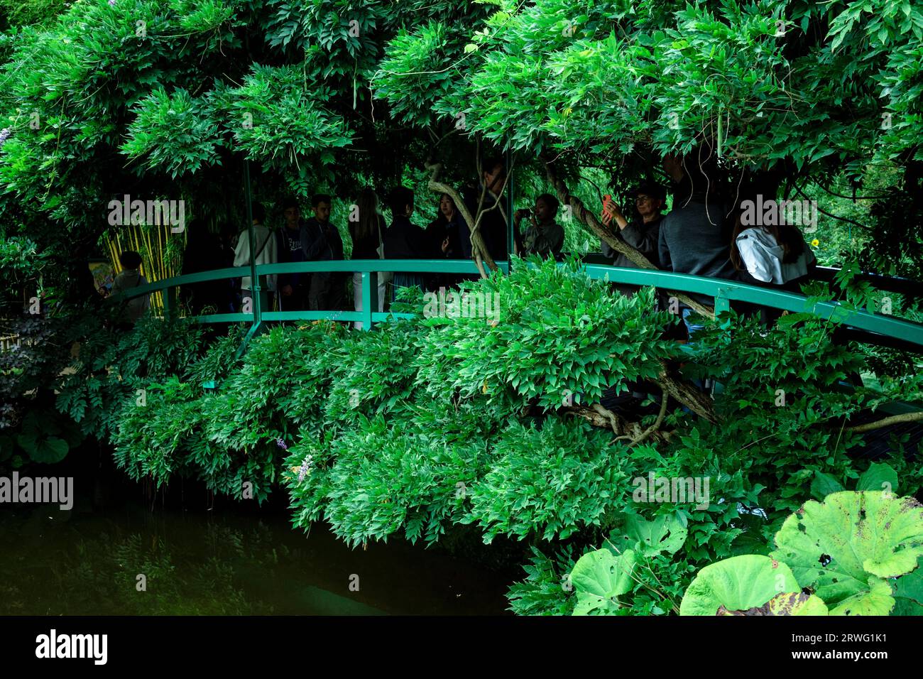 Il Claude Monet Garden a Giverny/Francia Foto Stock