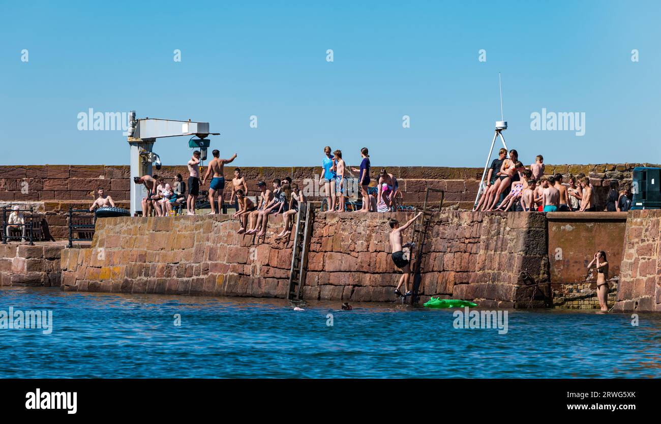 Bambini che saltano in mare dalla banchina con il caldo clima estivo, porto di North Berwick, East Lothian, Scozia, Regno Unito Foto Stock