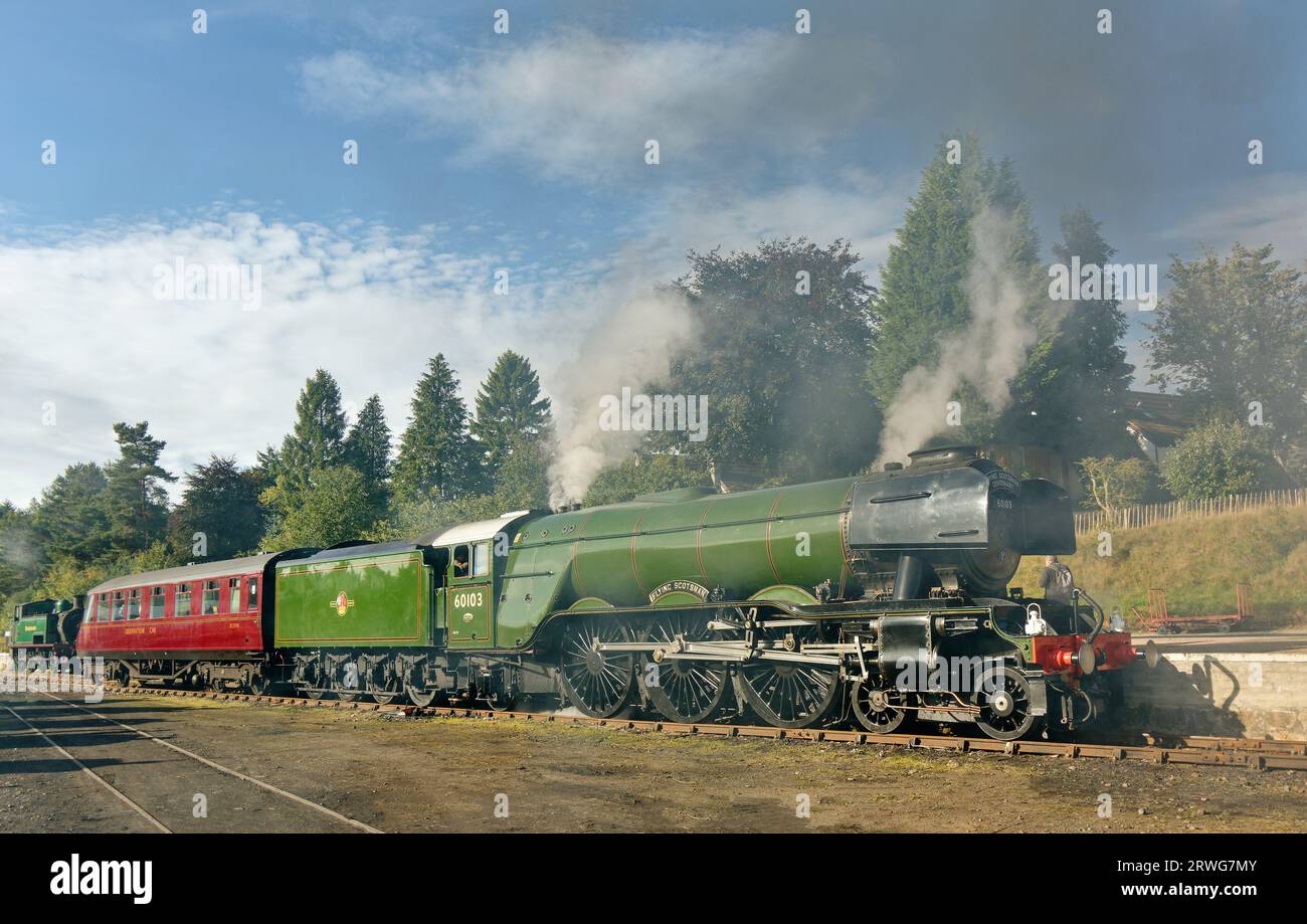 Treno a vapore volante Scotsman a Boat of Garten in Scozia coperto dal fumo di camino di tutti i motori di trazione Foto Stock