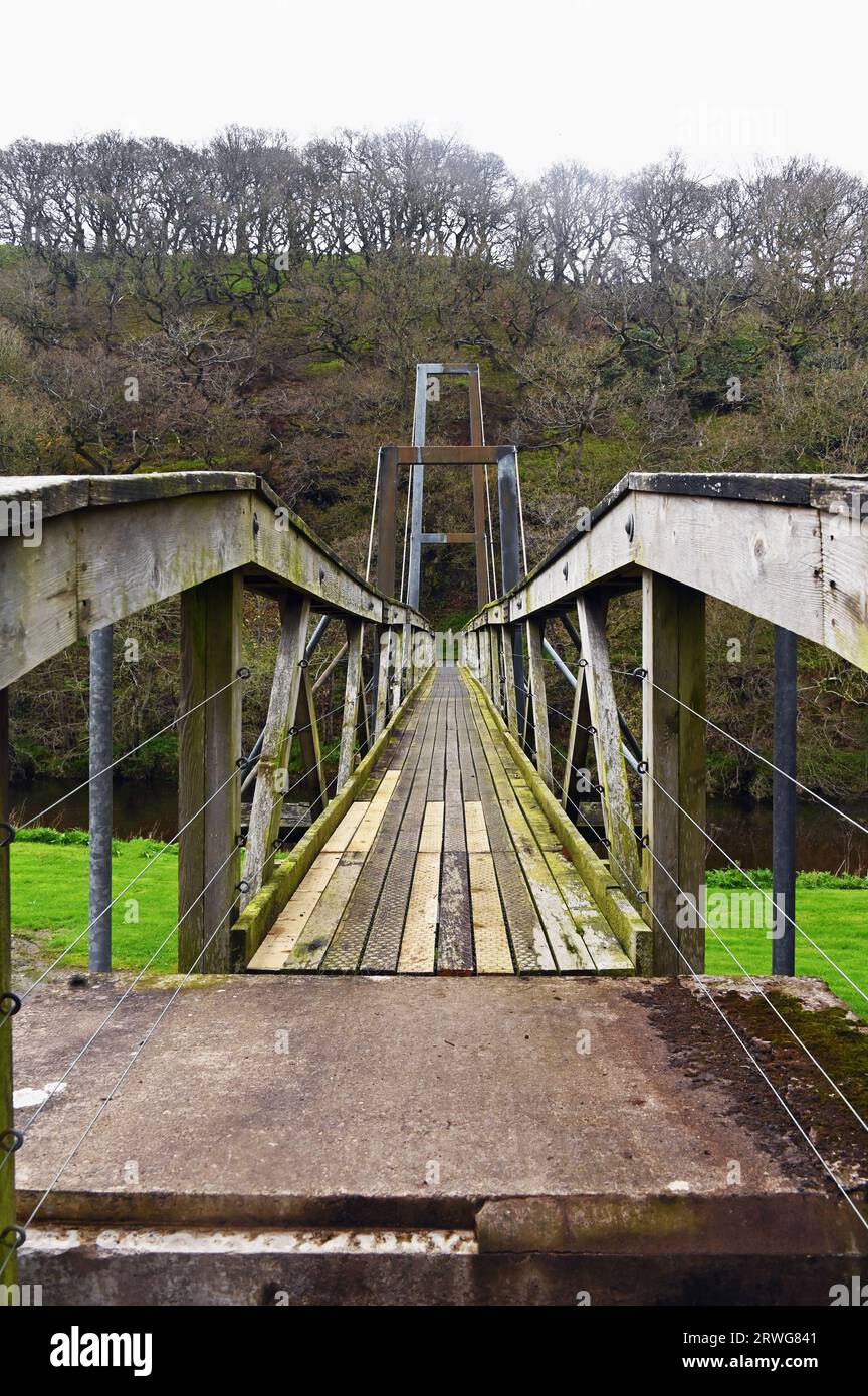 Ponte pedonale sul Whiteadder Water sulla Southern Upland Way. Abbey St Bathans, Berwickshire, Scottish Borders, Scotland, Regno Unito, Europa. Foto Stock