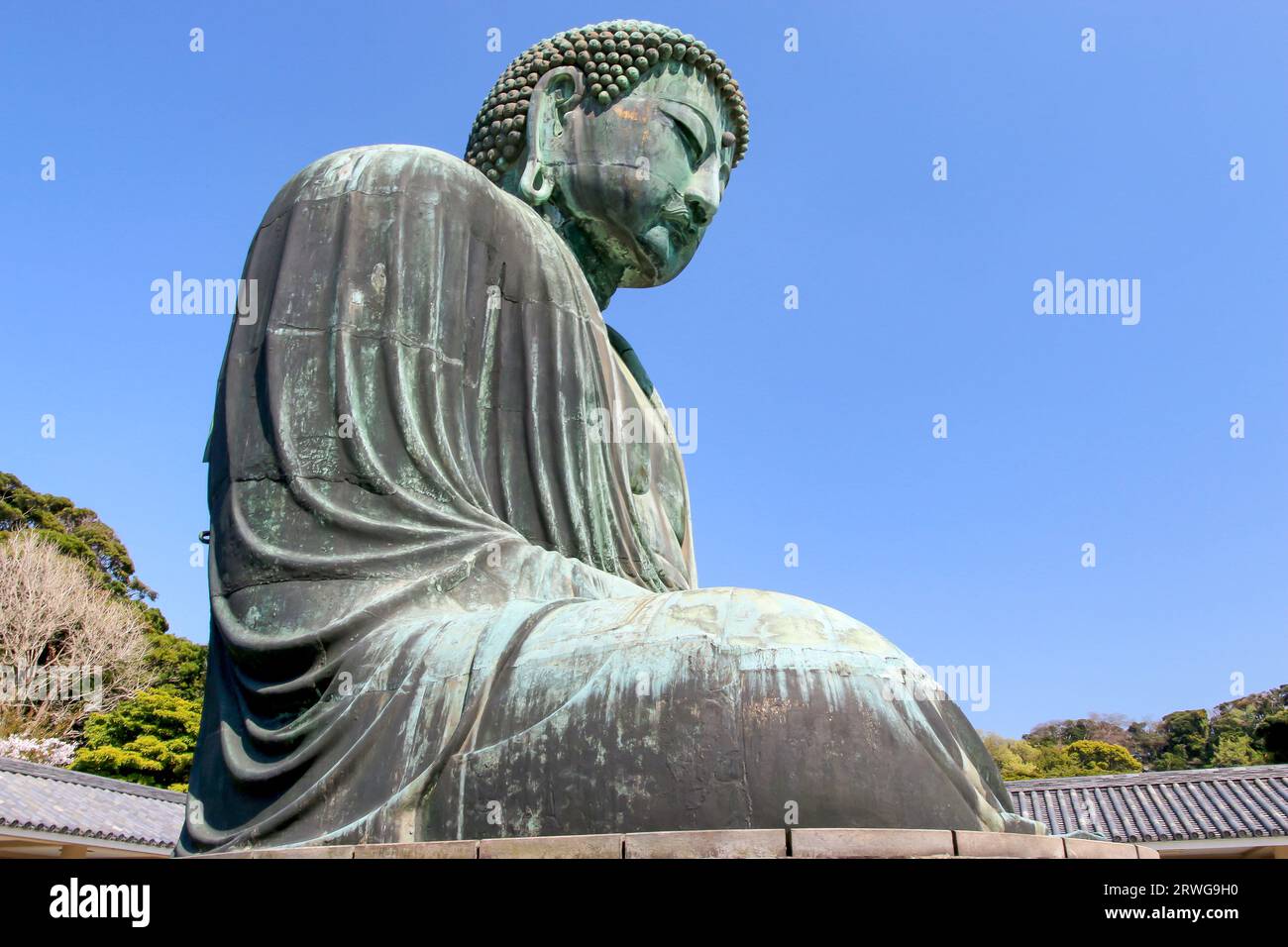 Grande Buddha (Daibutsu) sul terreno del Tempio di Kotokuin a Kamakura, Giappone Foto Stock