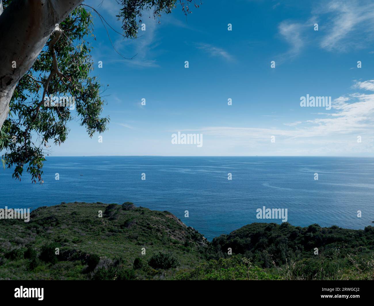 Vista panoramica su campo nell'Elba sull'Elba Foto Stock