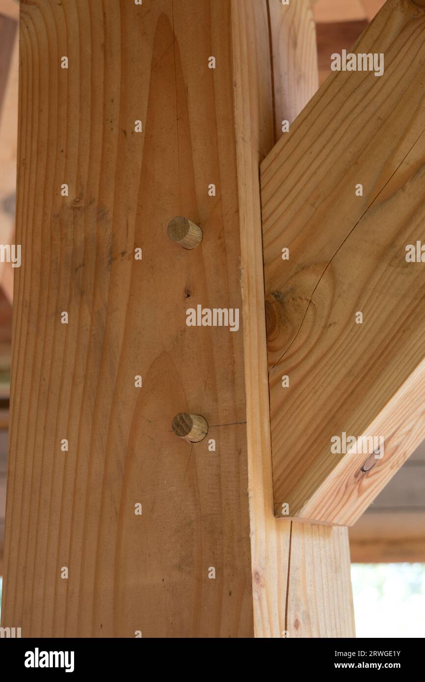Giunti di riferimento per la lavorazione del legno che collegano i legnami di pino Foto Stock