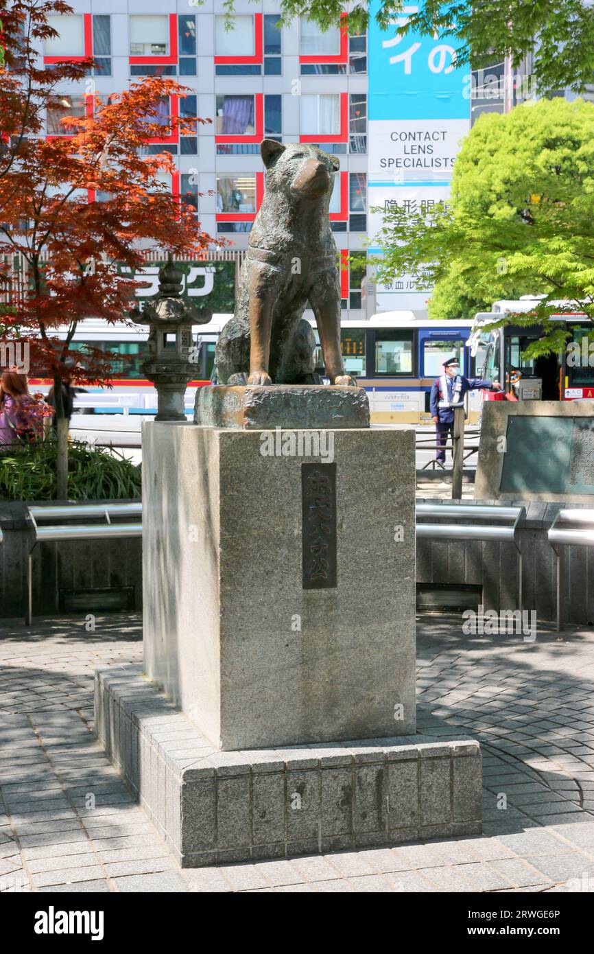 Stazione di hachiko shibuya immagini e fotografie stock ad alta
