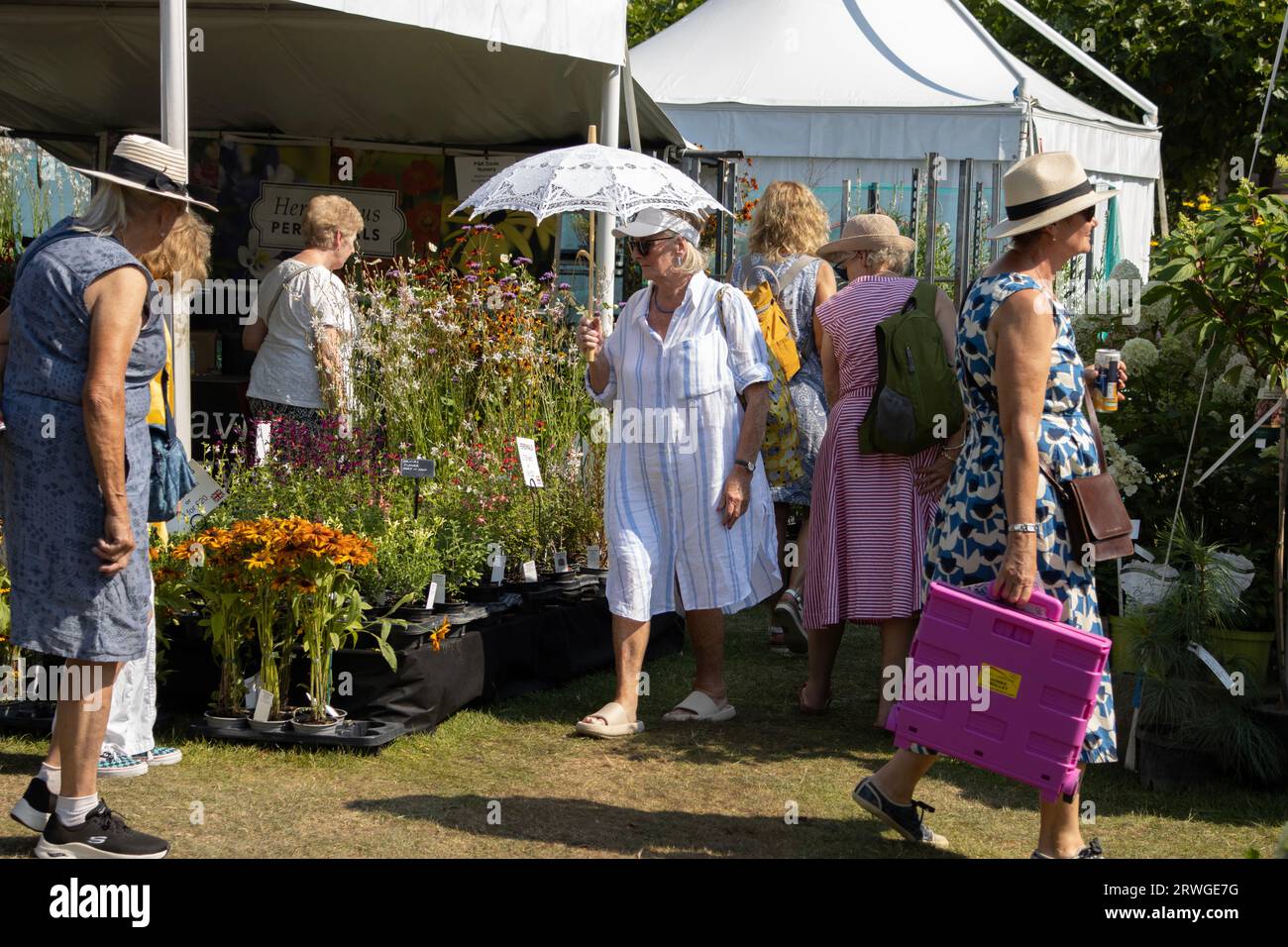 Gli appassionati di orticoltori apprezzeranno le temperature calde del RHS Wisley, spettacolo annuale di fiori, Surrey, Inghilterra Foto Stock