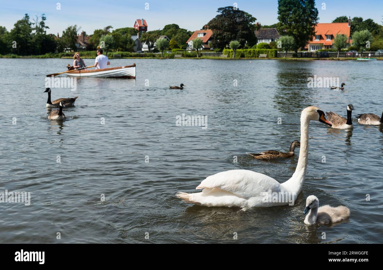 Thorpeness Meare Foto Stock