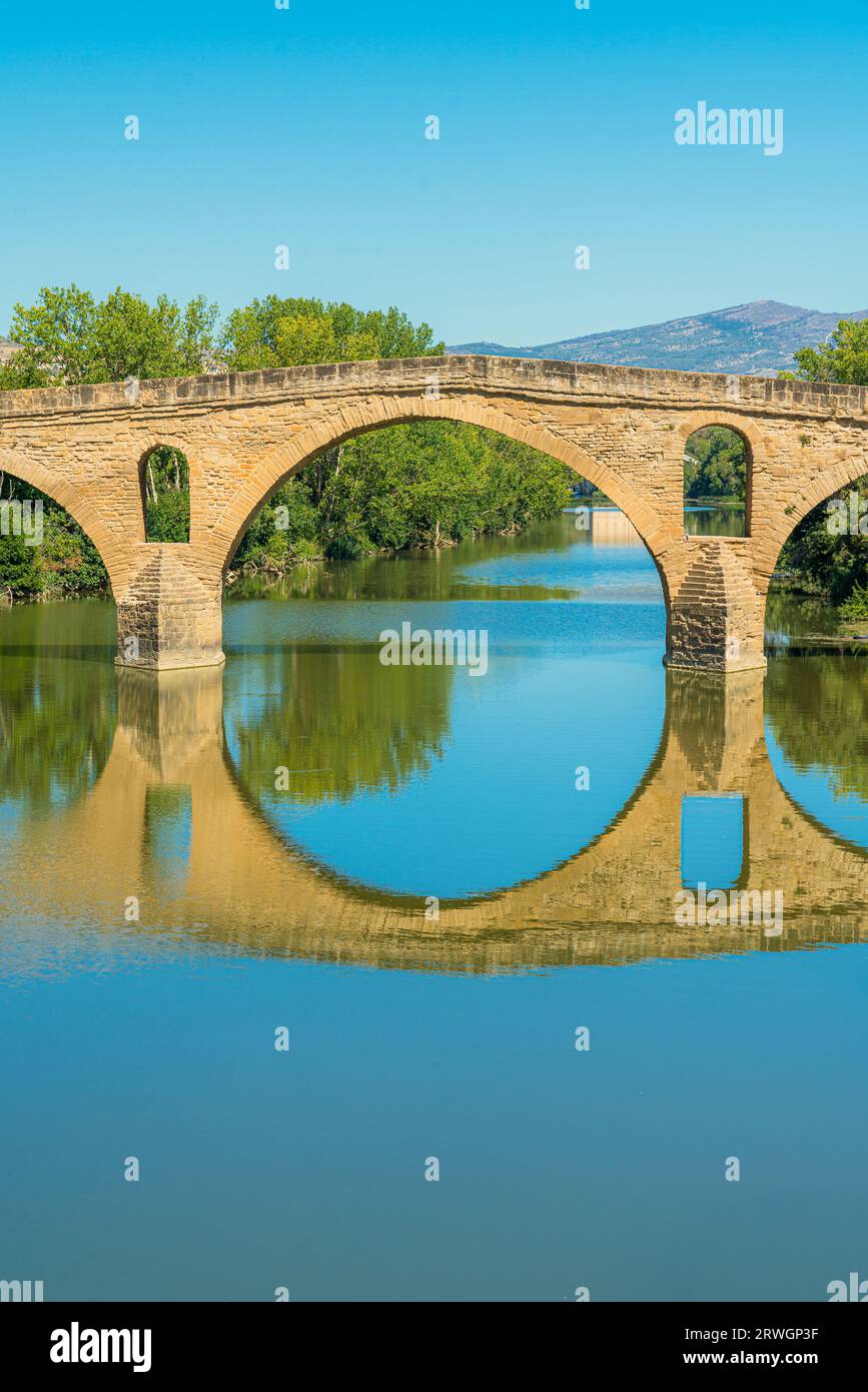Vista del famoso ponte sul fiume Arga a Puente la Reina, Navarra. Questo edificio storico e il villaggio sono importanti su Camino Santiago Foto Stock