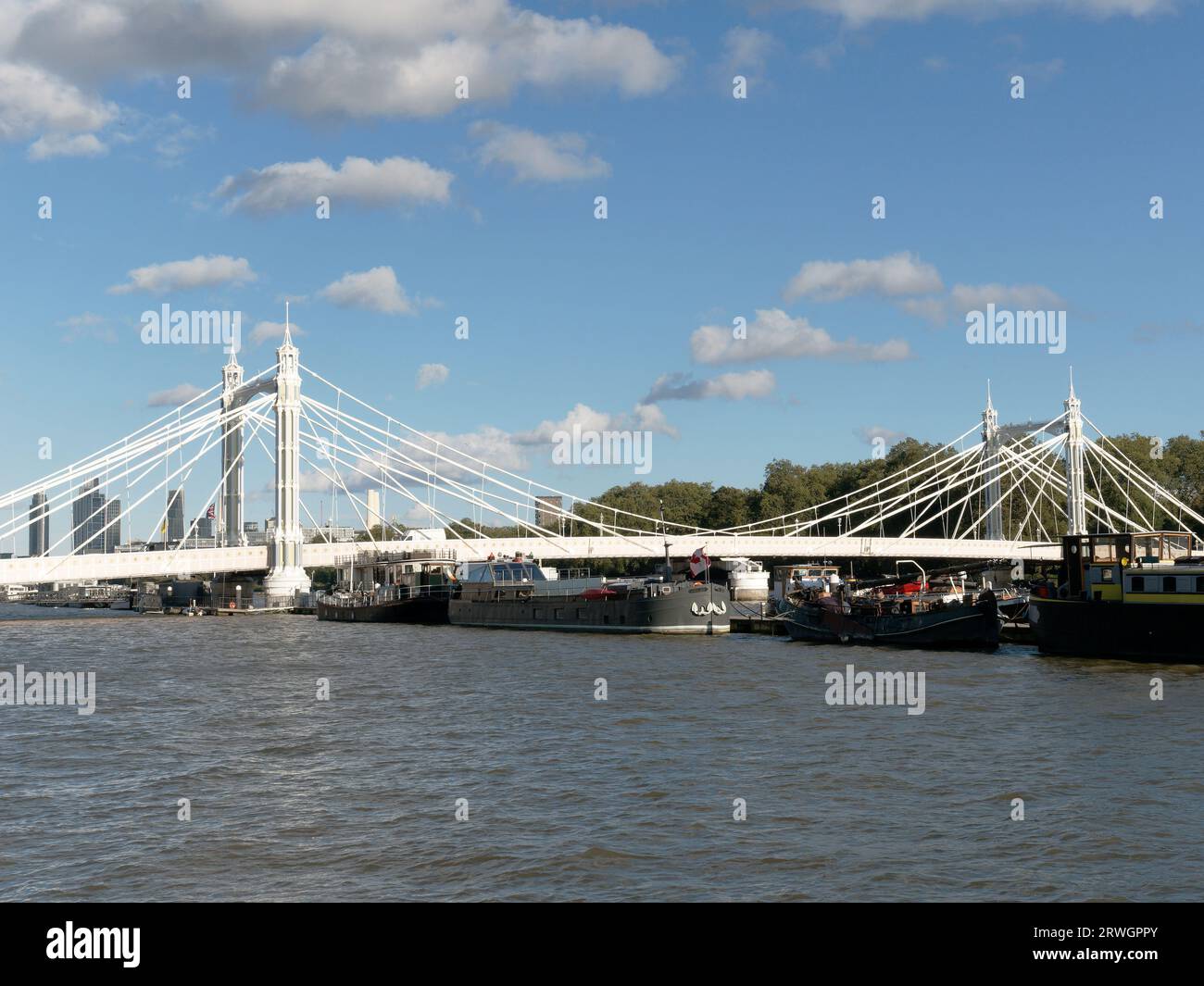 Vista dell'Albert Bridge, un ponte stradale sul Tamigi a Londra Foto Stock
