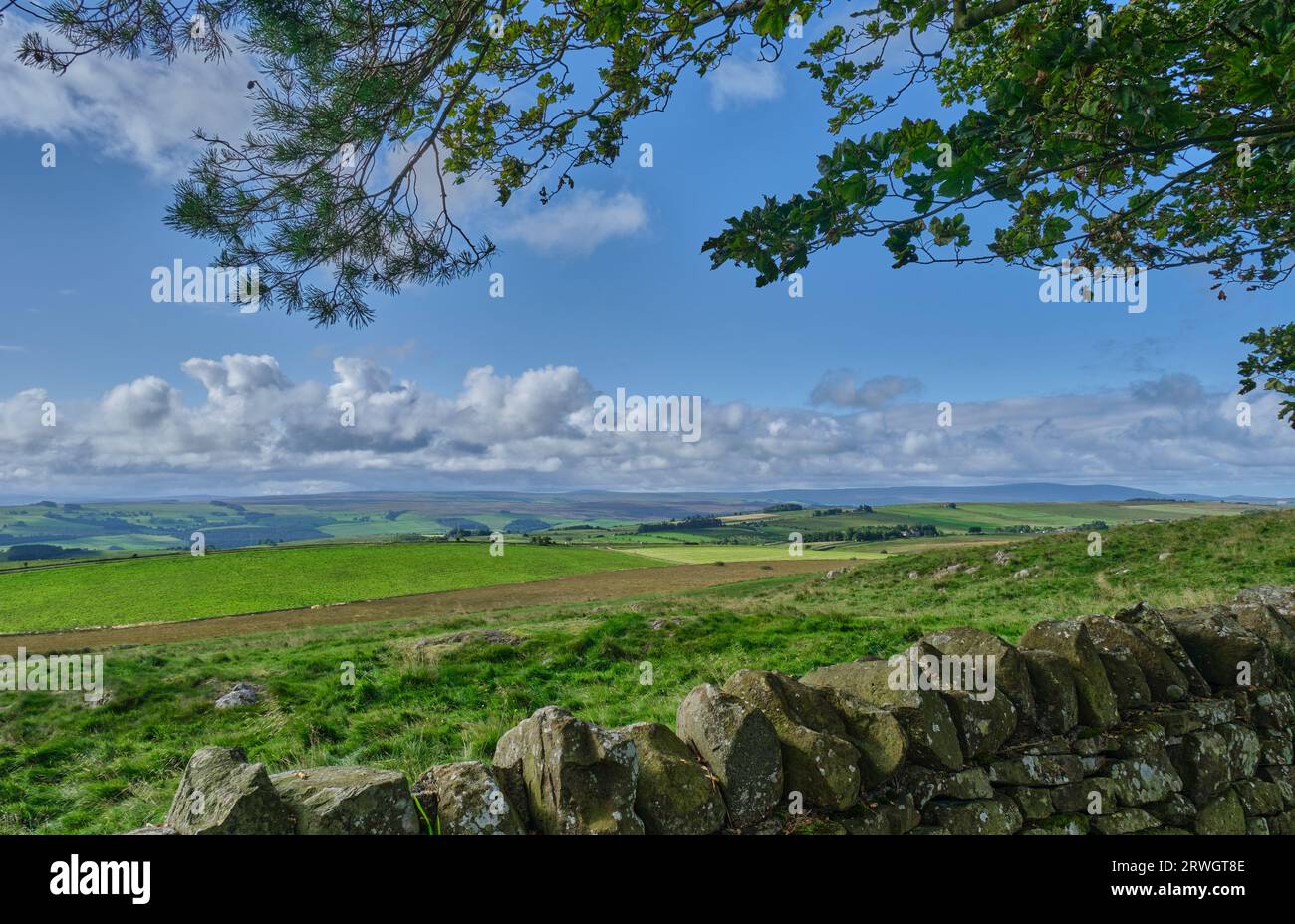 Guardando verso i North Pennines dal sentiero nazionale del Vallo di Adriano vicino a Crag Lough, High Shield, Bardon Mill, Northumberland Foto Stock
