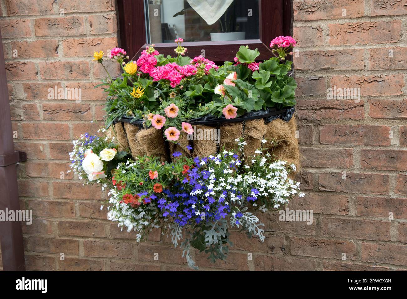 Colorato e accattivante vetrina con fiori variopinti; splendida esposizione; attraente; Tewkesbury UK Foto Stock