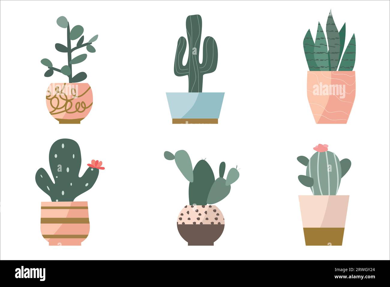 set di succulenti in graziose vasi da fiori decorativi Illustrazione Vettoriale