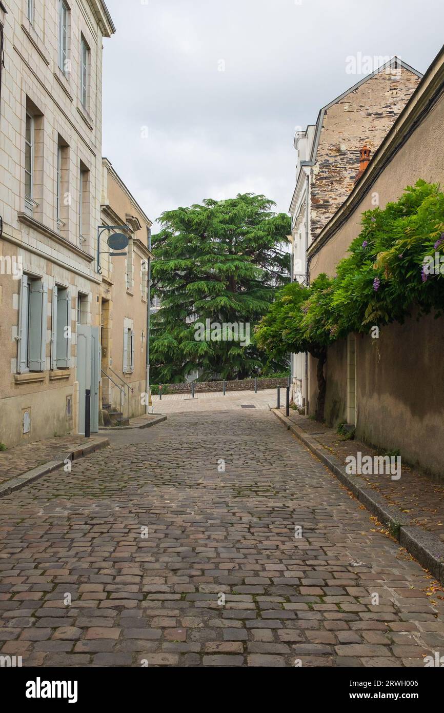 Angers, Francia, 2023. Angers's Wisteria Lane of Srinks, una piccola strada acciottolata che si apre su un maestoso cedro ai piedi del castello (verticale) Foto Stock