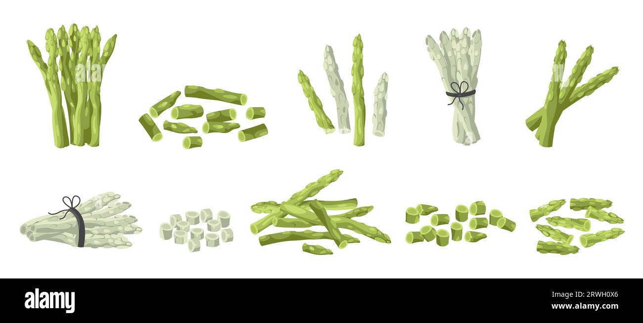 Asparagi interi e tagliati. Bastoncini e lance di asparagi biologici, prodotti agricoli freschi, gambo di prodotto ecologico da cartoni animati. Insieme isolato dal vettore Illustrazione Vettoriale