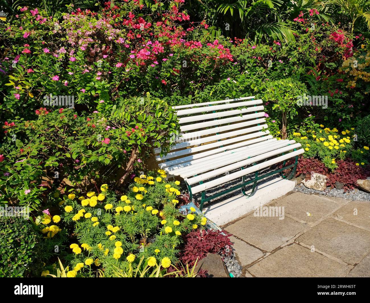 Una panchina di legno bianco si trova su un sentiero in pietra in un giardino, circondato da fiori rosa, rosso e giallo. Foto Stock