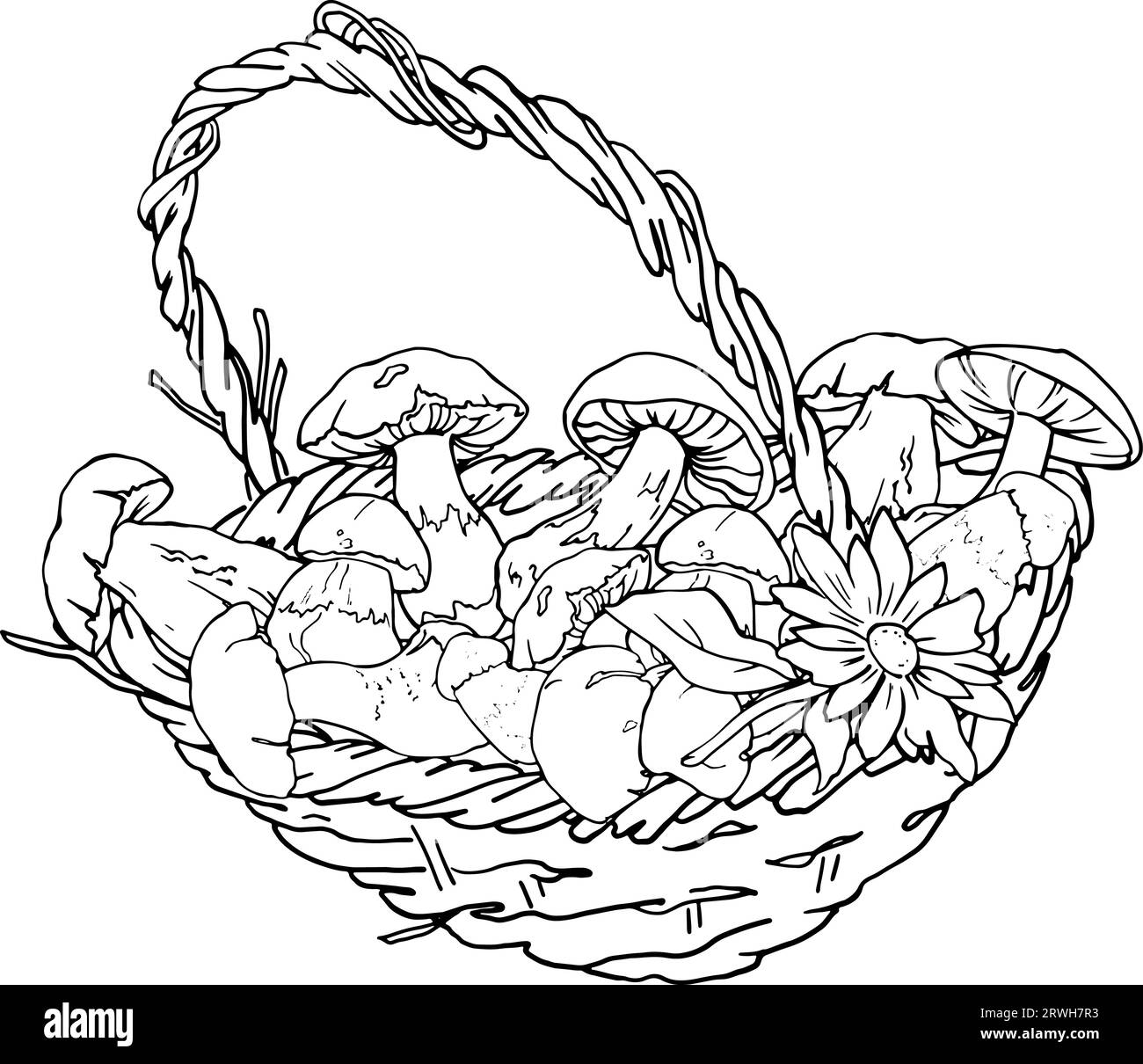 Cestello con disegno lineare a funghi. Per la stampa di libri da colorare per bambini e adulti. Per la stampa su piatti, indumenti e altri oggetti. Raccolta, cestello vecchio in vimini pieno di funghi. Illustrazione vettoriale Illustrazione Vettoriale