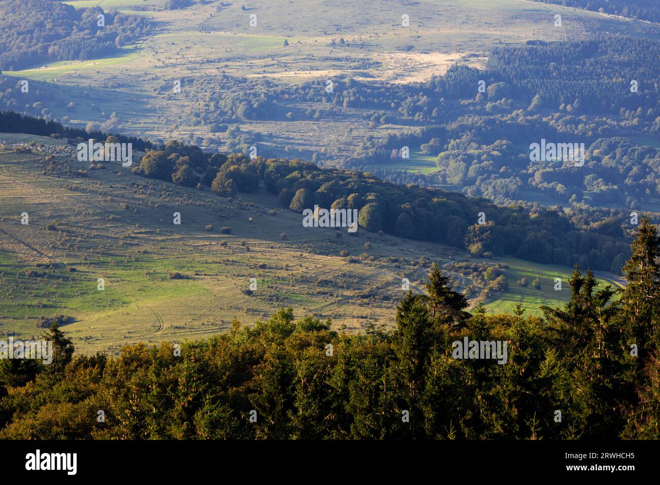 la natura del röhn germania Foto Stock